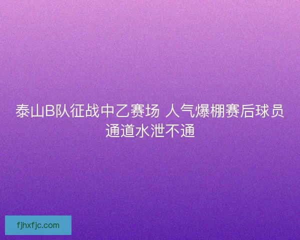泰山B队征战中乙赛场 人气爆棚赛后球员通道水泄不通