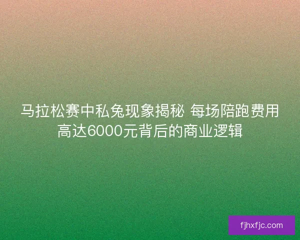 马拉松赛中私兔现象揭秘 每场陪跑费用高达6000元背后的商业逻辑
