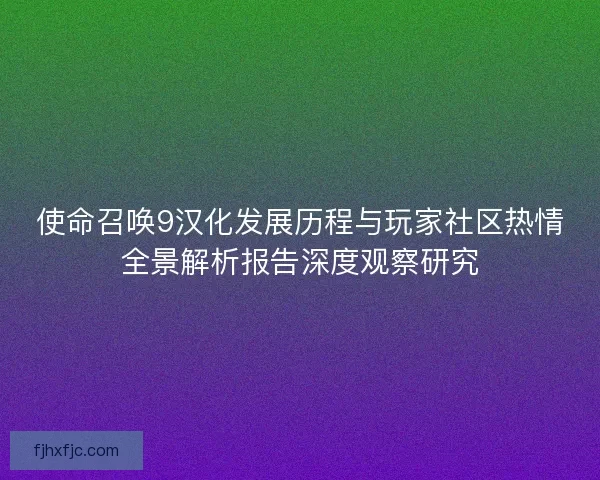 使命召唤9汉化发展历程与玩家社区热情全景解析报告深度观察研究