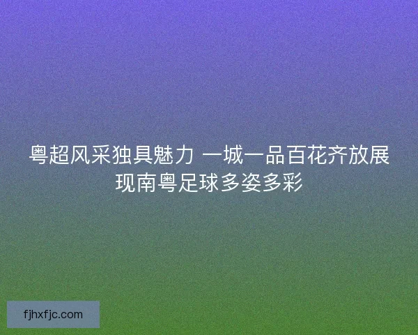 粤超风采独具魅力 一城一品百花齐放展现南粤足球多姿多彩